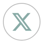Twitter icon